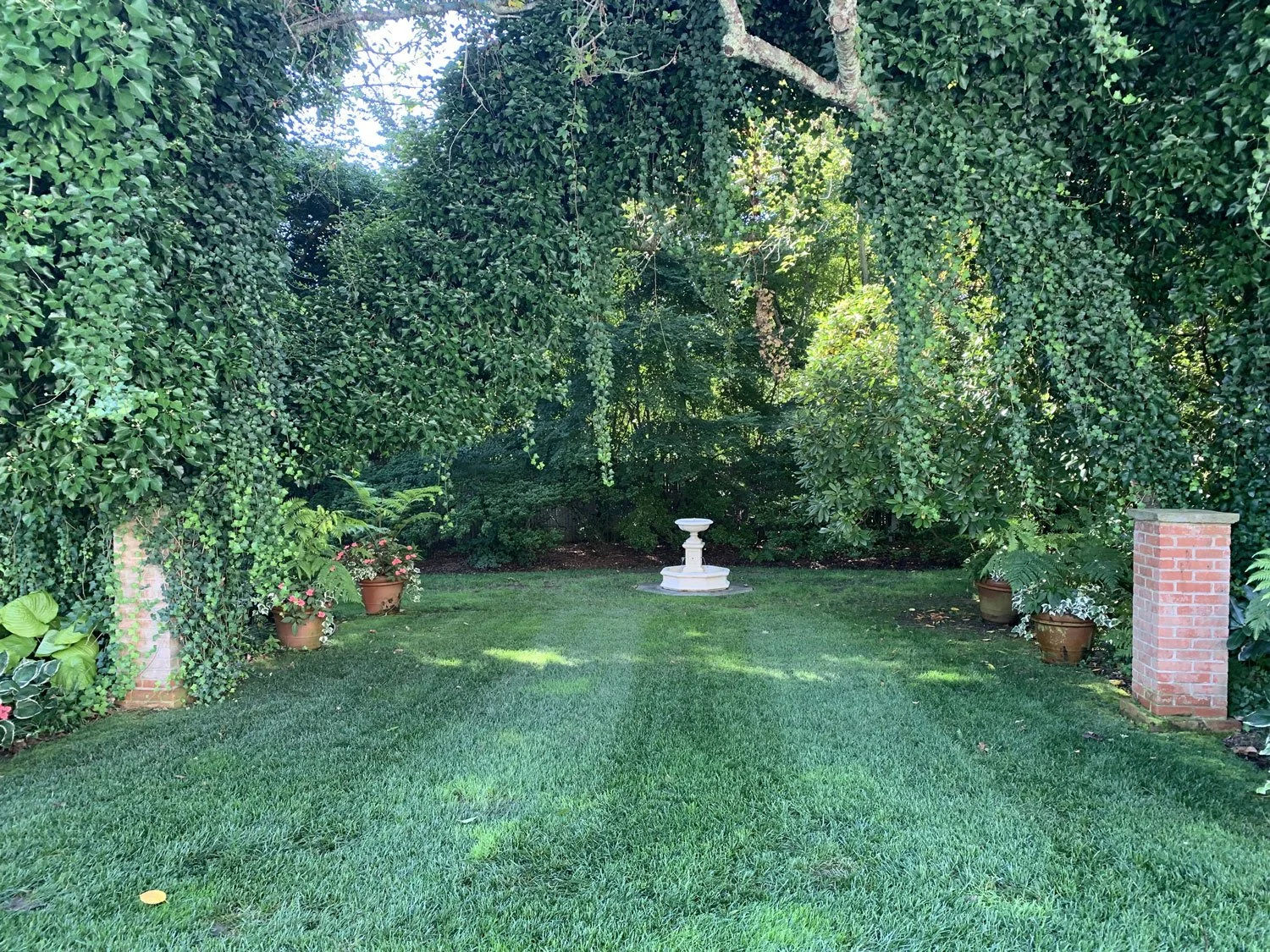 Lear Landscape- South Main St - birdbath.jpg