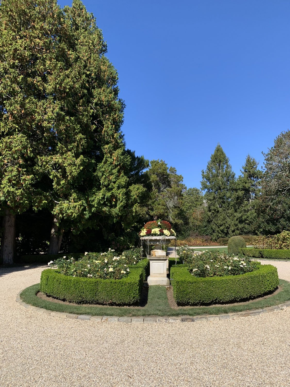 Lear Landscape- South Main St - driveway.jpg