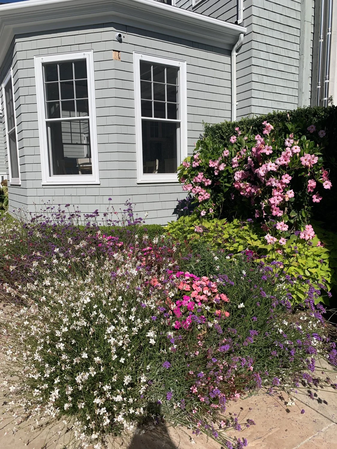 Lear Landscape- South Main St - foundation-plantings.jpg