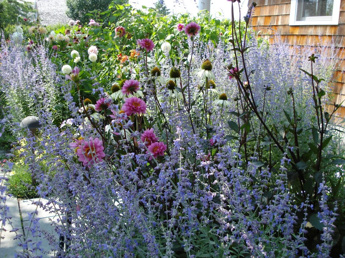 Copy of DSC00034.jpg