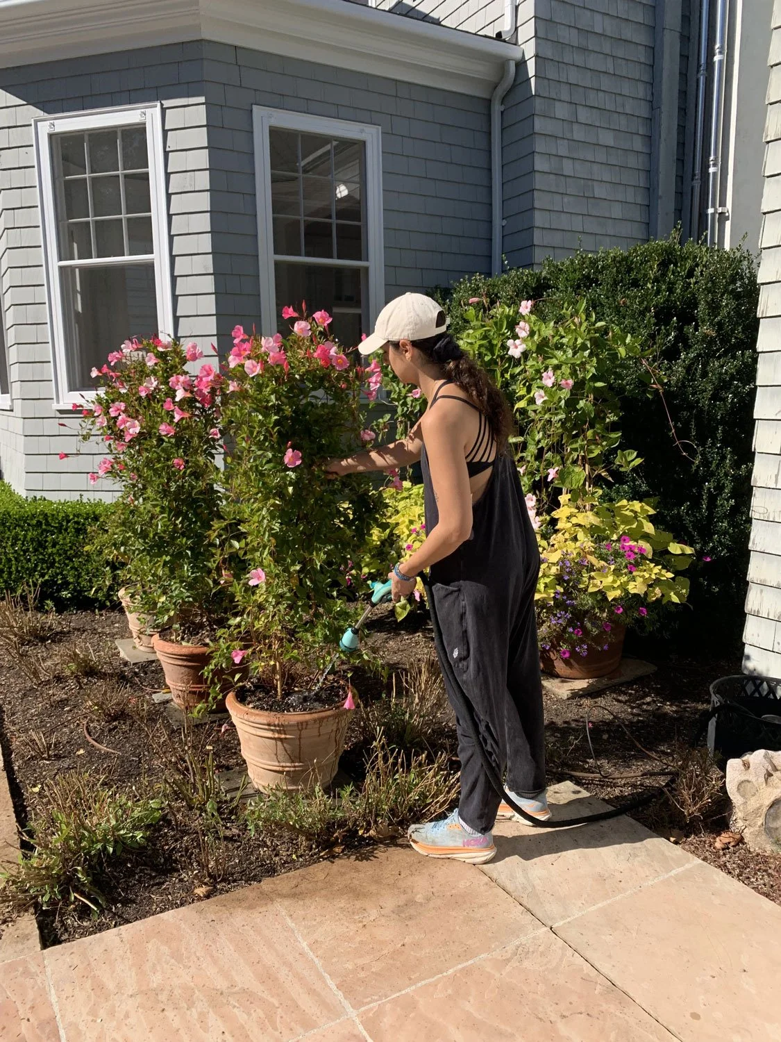 Lear Landscape- South Main St - planter care.jpg