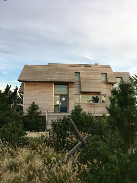 Dune Road-yard