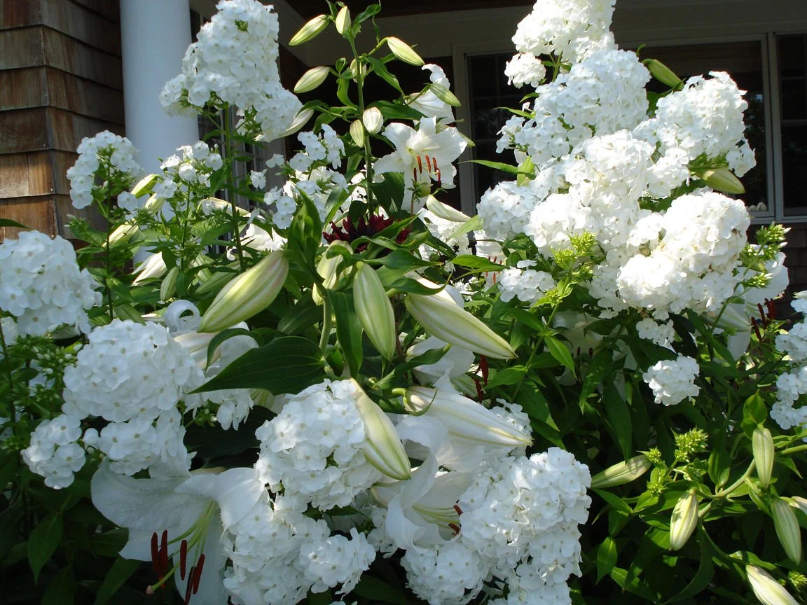 Copy of DSC00033.jpg