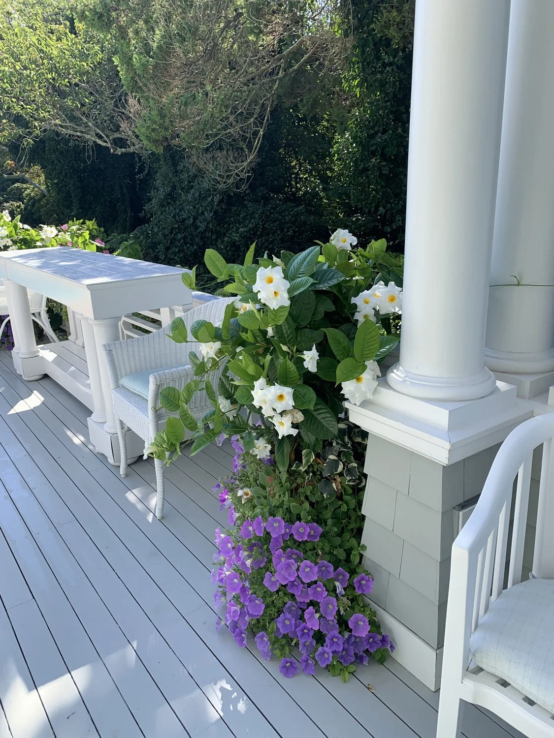 Lear Landscape- South Main St - deck-pots-planters2.jpg