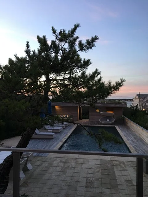 Dune Road-view of pool deck-tree