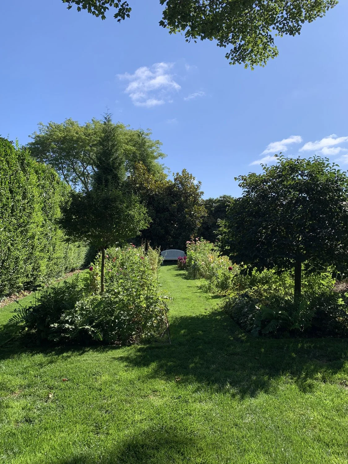 Lear Landscape- South Main St - flower-gardens.jpg