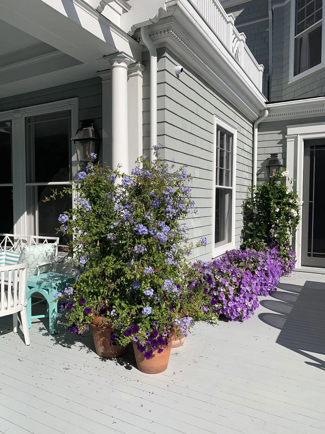 Lear Landscape- South Main St - deck-pots-planters.jpg