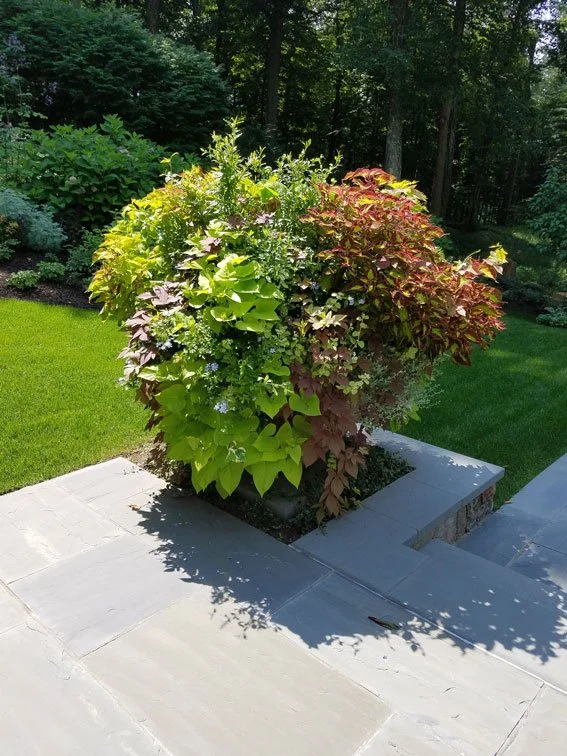 GreenwichLakeside-flower-pot