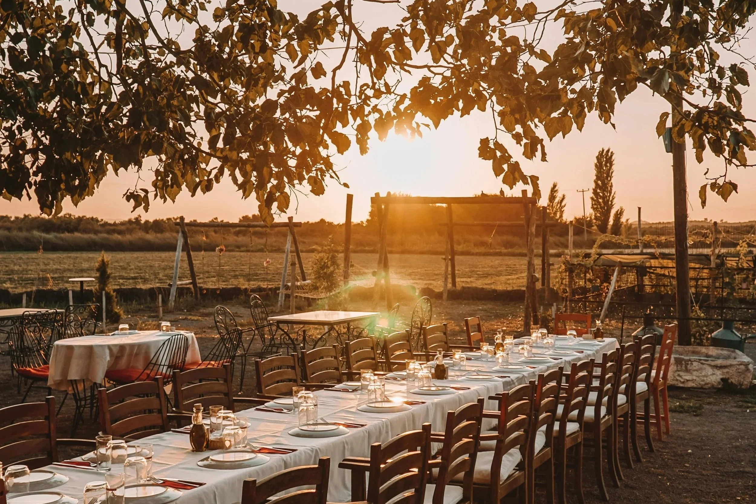 Long outdoor dining table set with white tablecloths, glasses, plates, and silverware, situated in a rural farmland area during sunset with trees and swings in the background.