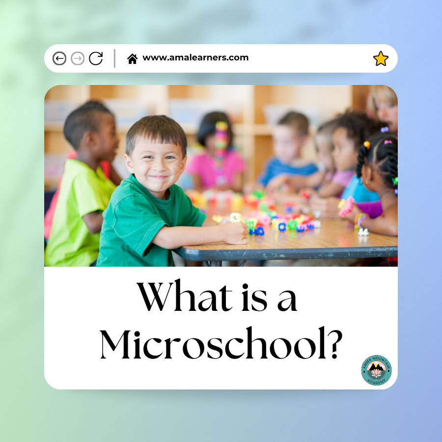 What is a Micro School? 