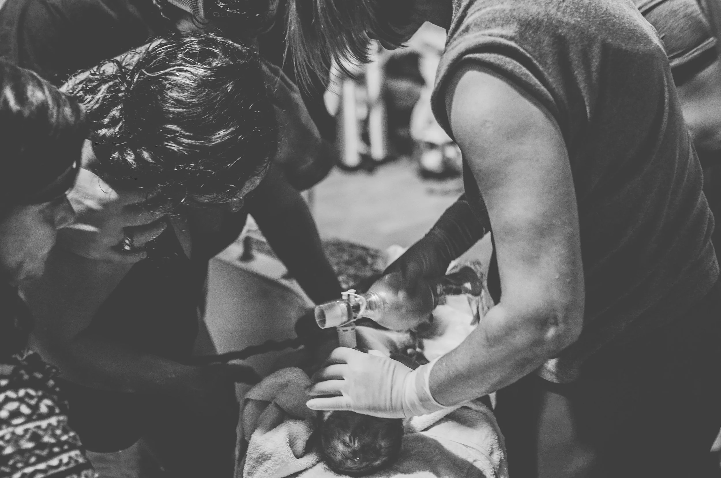 Untitled Export-0021.jpg