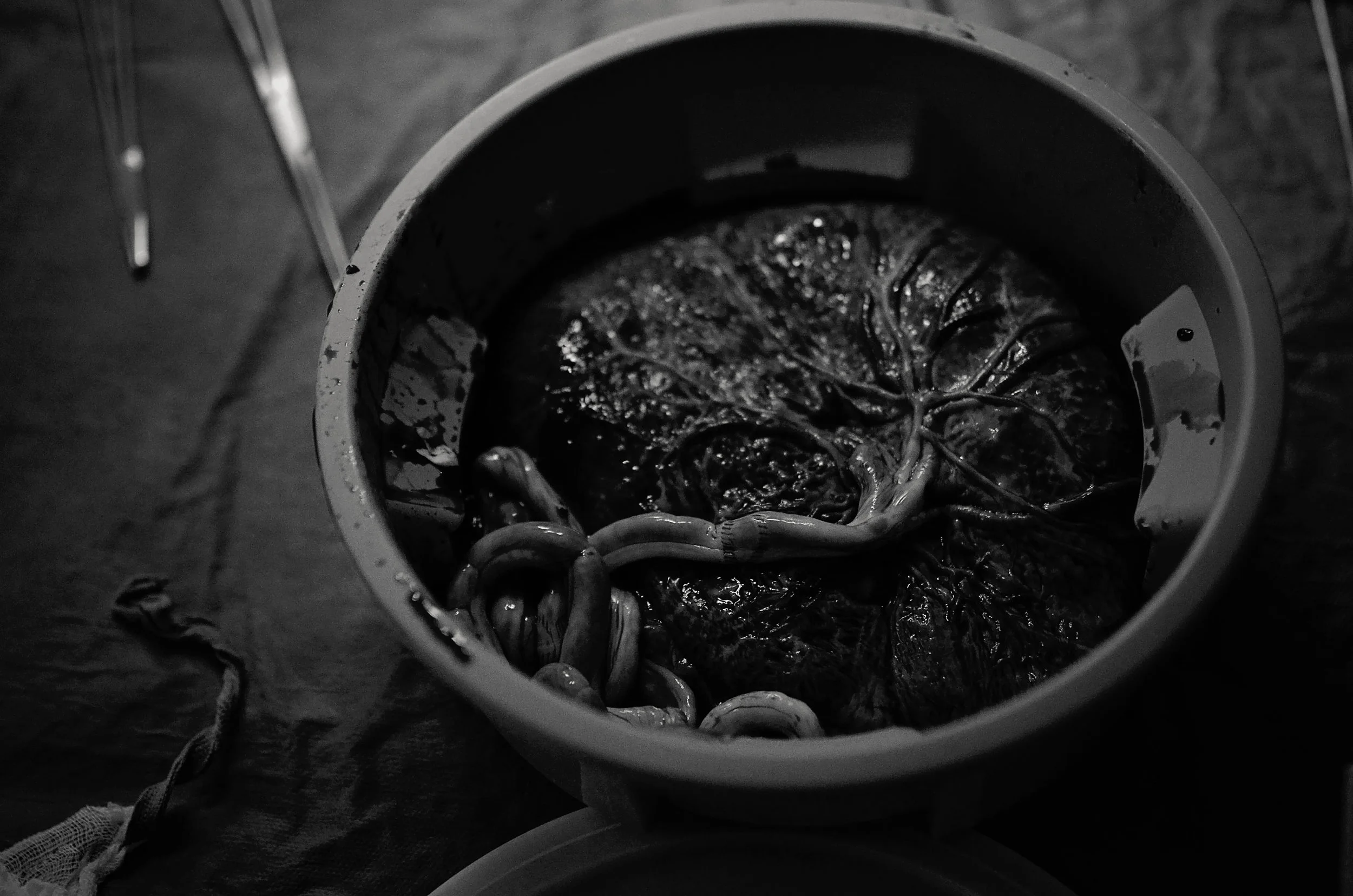 Untitled Export-0087.jpg