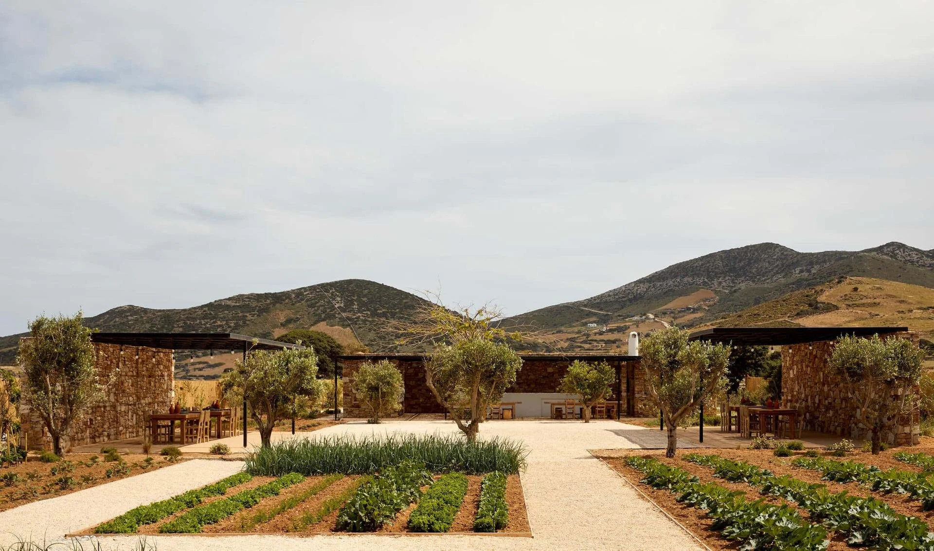 the-rooster-antiparos-the-farm-general.jpg