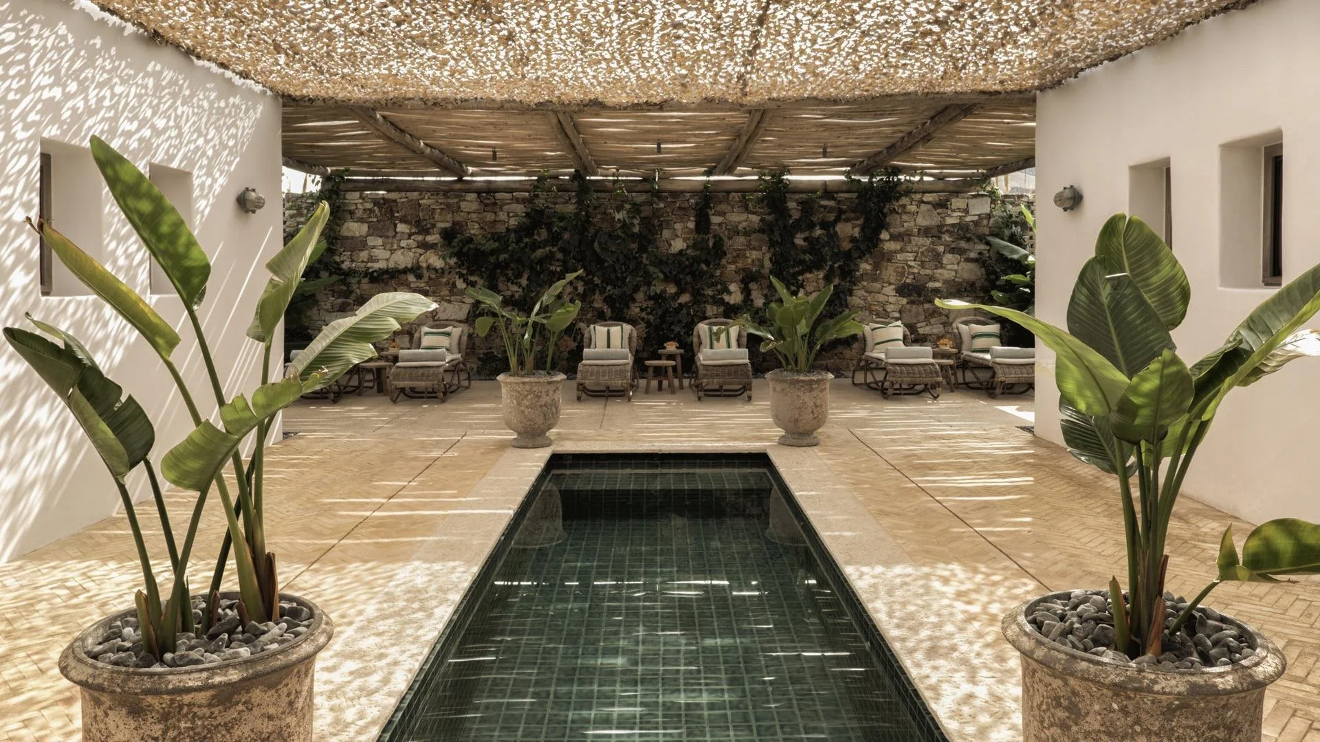 the-rooster-antiparos-wellness_1920x1080.jpg