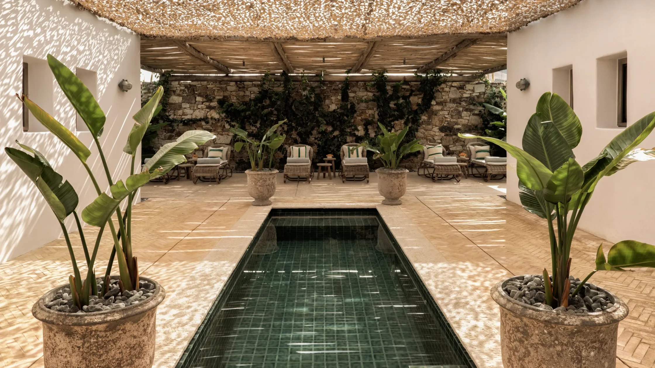 The Rooster_SPA [©Yannis Rizomarkos].webp