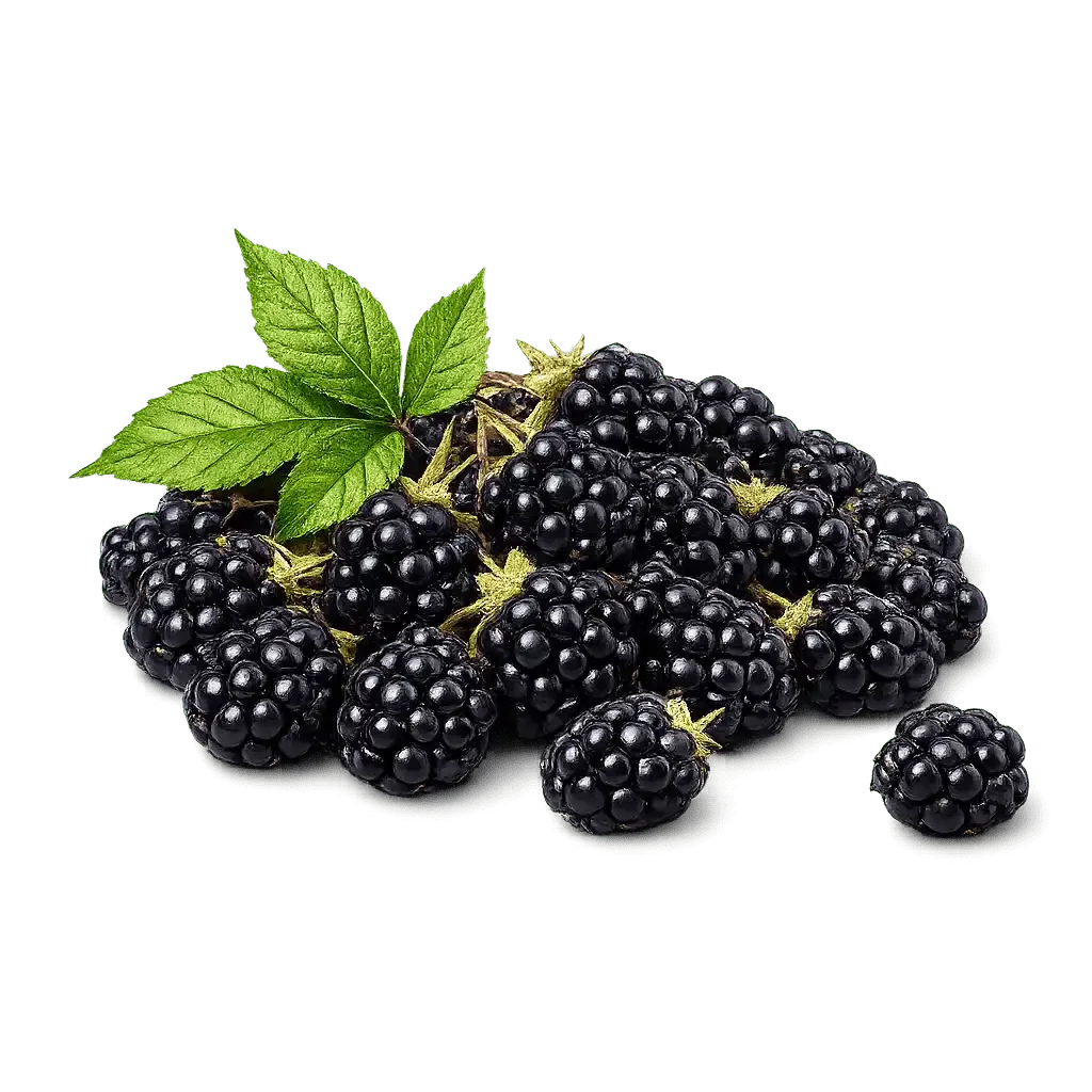 Dewberry