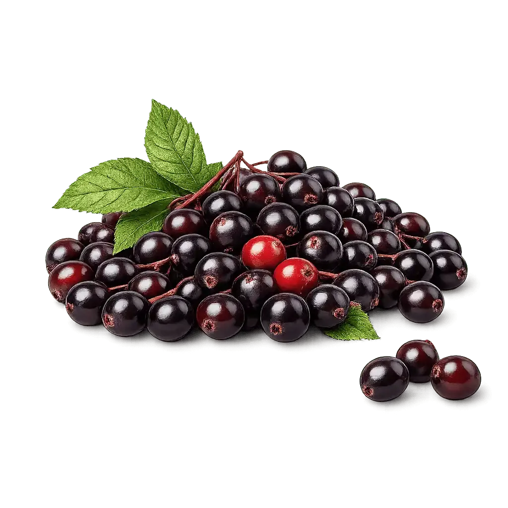 Chokecherry