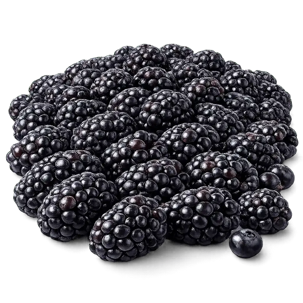 Blackberry