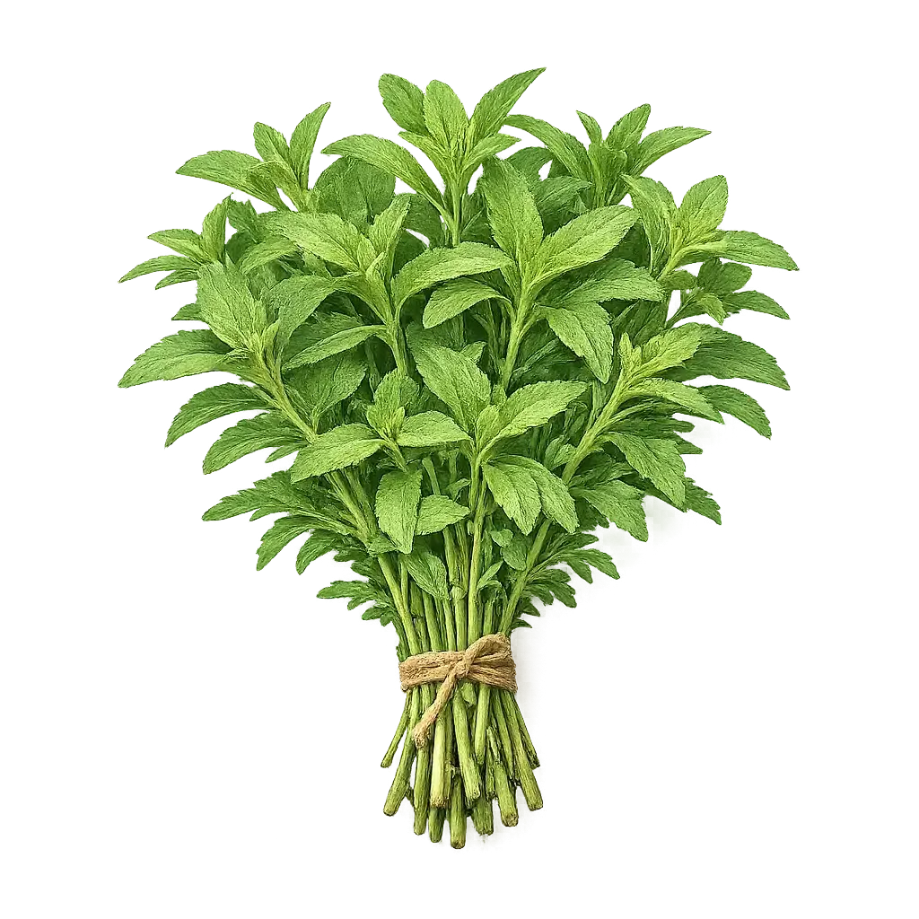 Stevia