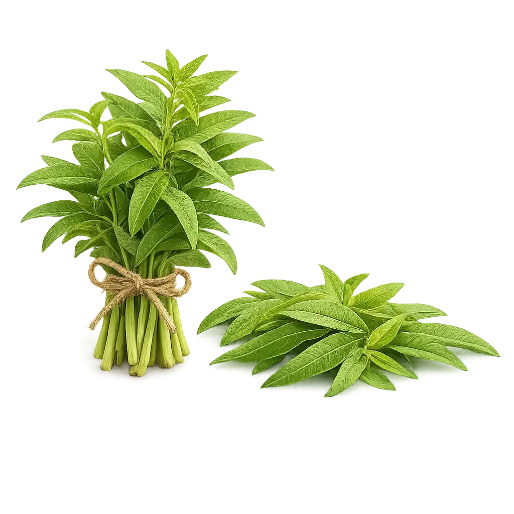Lemon Verbena