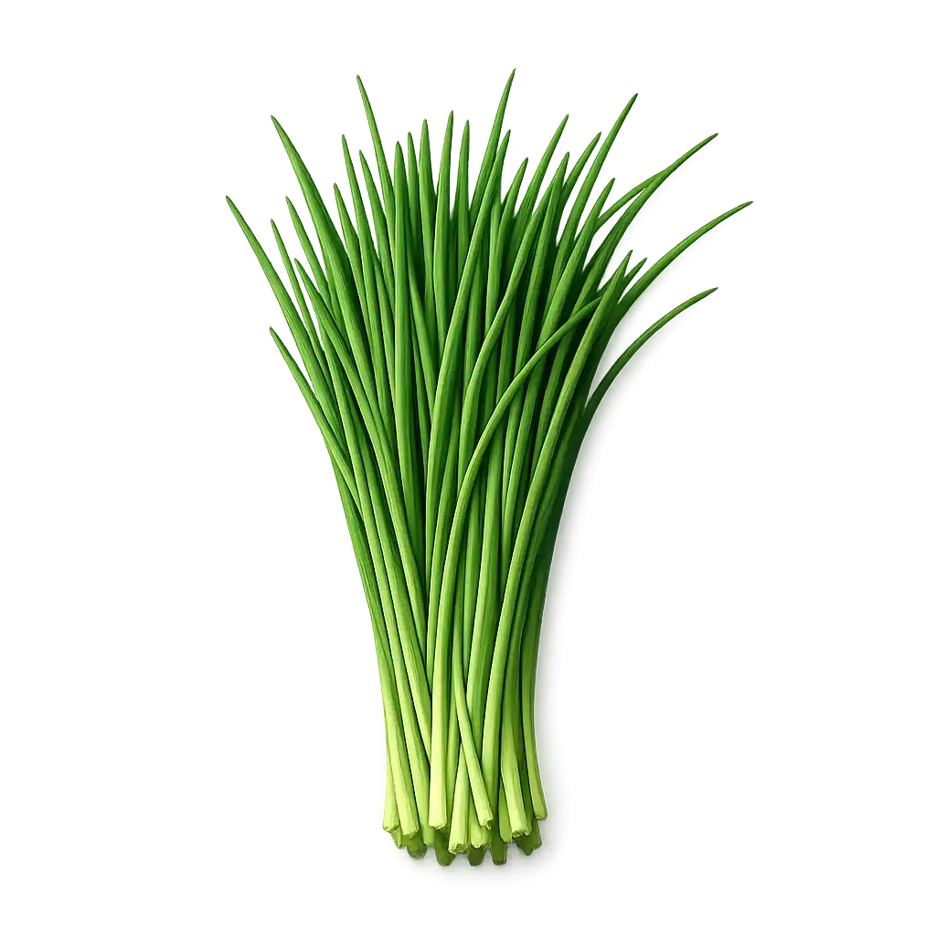 Chives