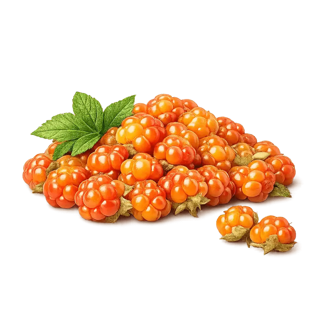 Fresh cloudberries and green leaves