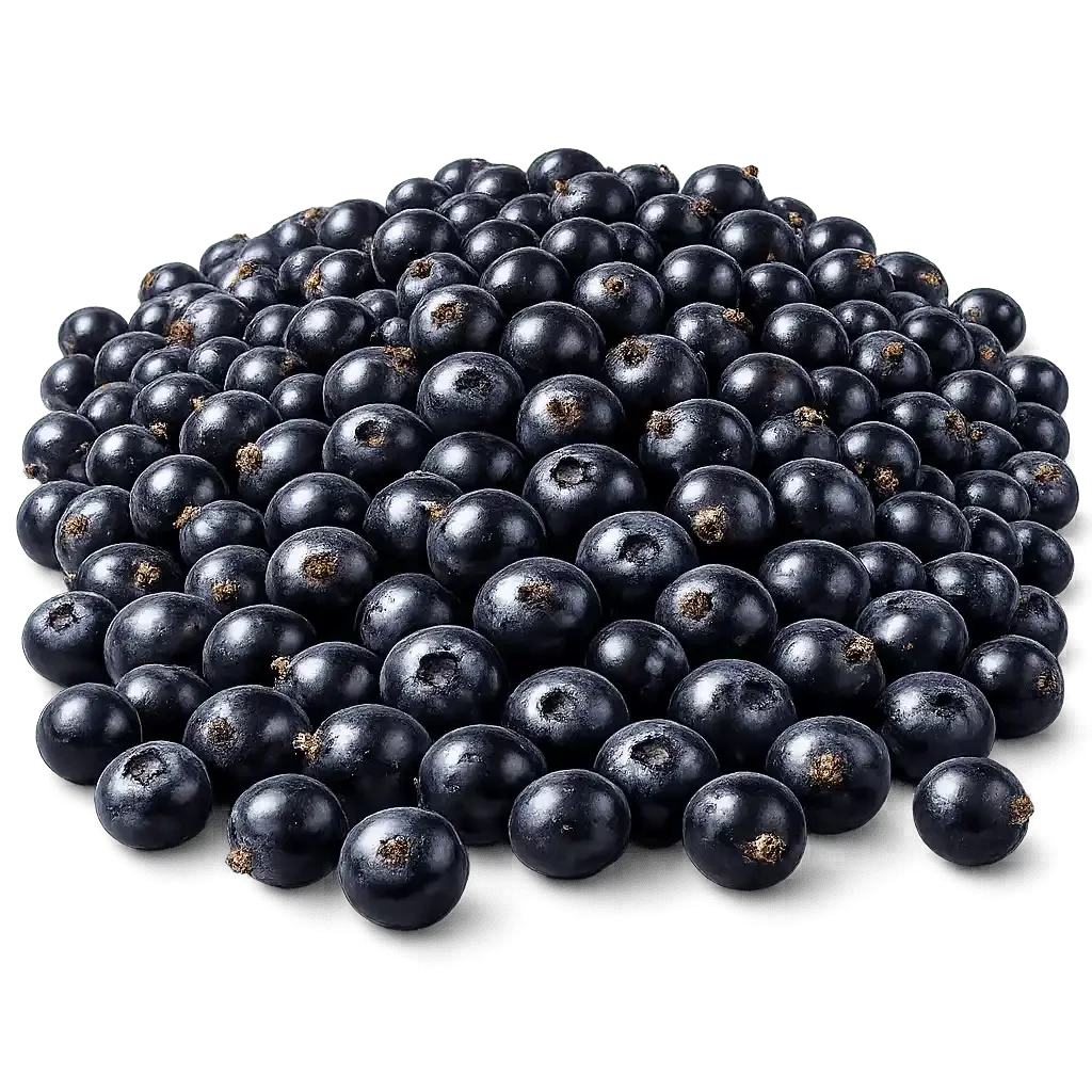 Glossy blackcurrants