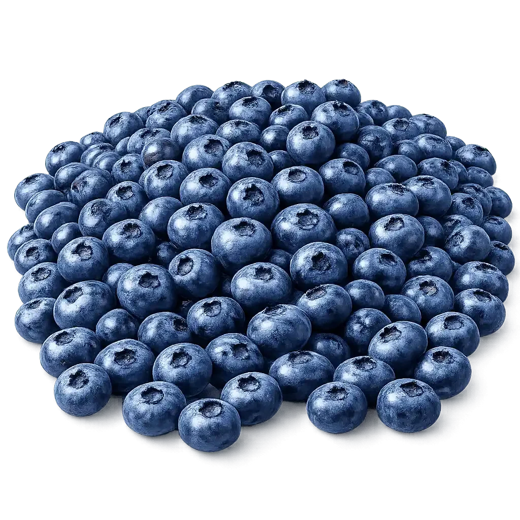 Fresh blueberries