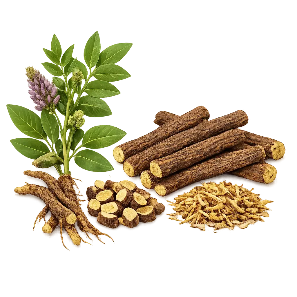 Licorice Root