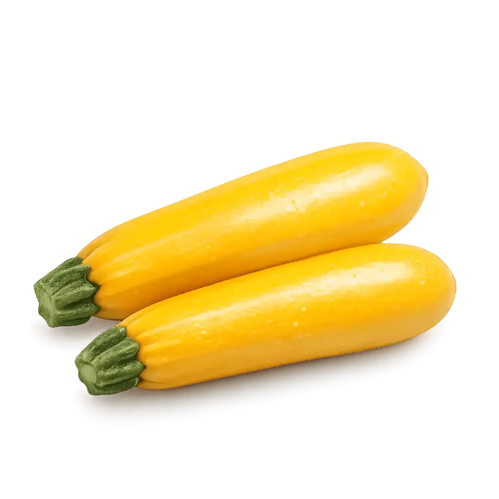 Fresh Gold Rush zucchini