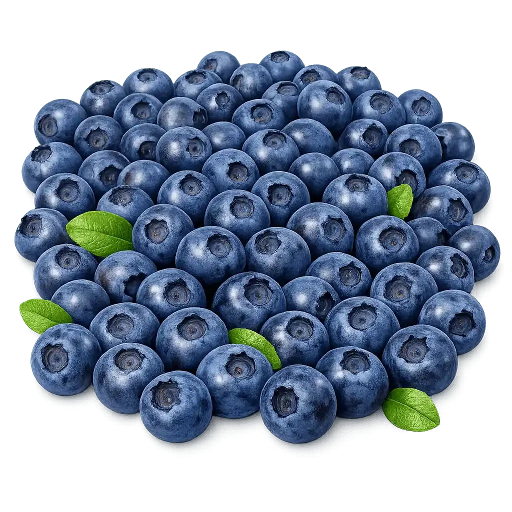 Colorful bilberries with green leaves