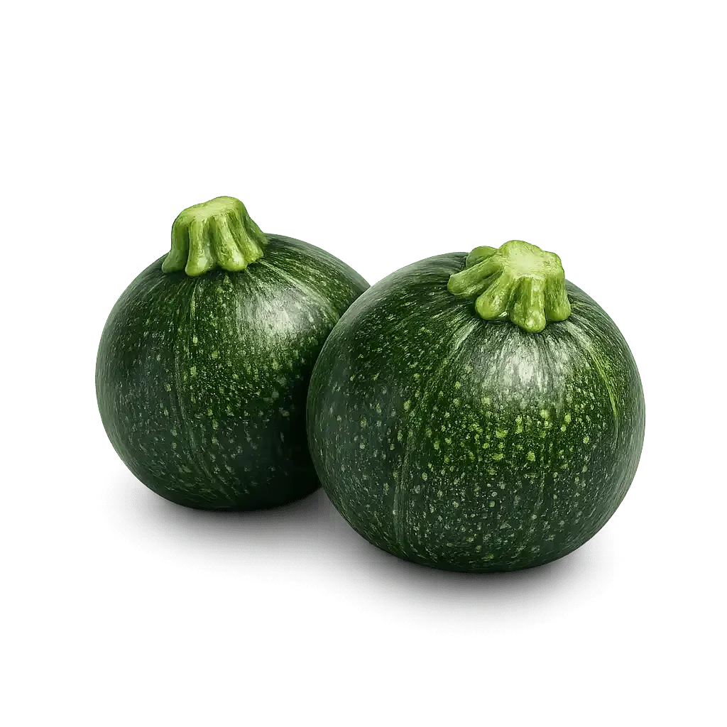 Plump Eight Ball Zucchini