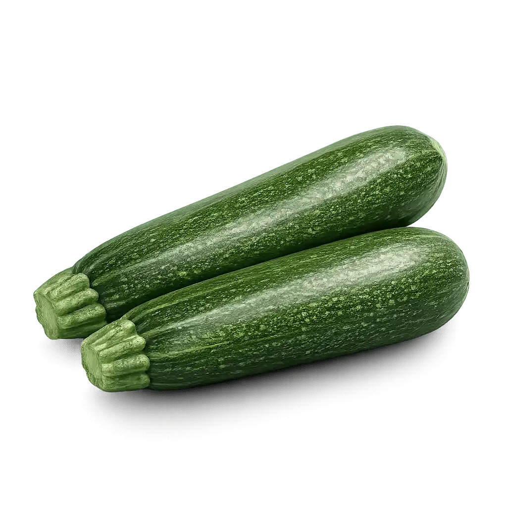 Dunja Zucchini Fresh Summer Squash