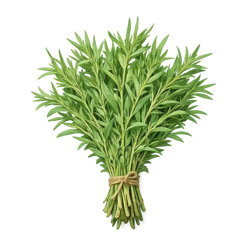 Tarragon