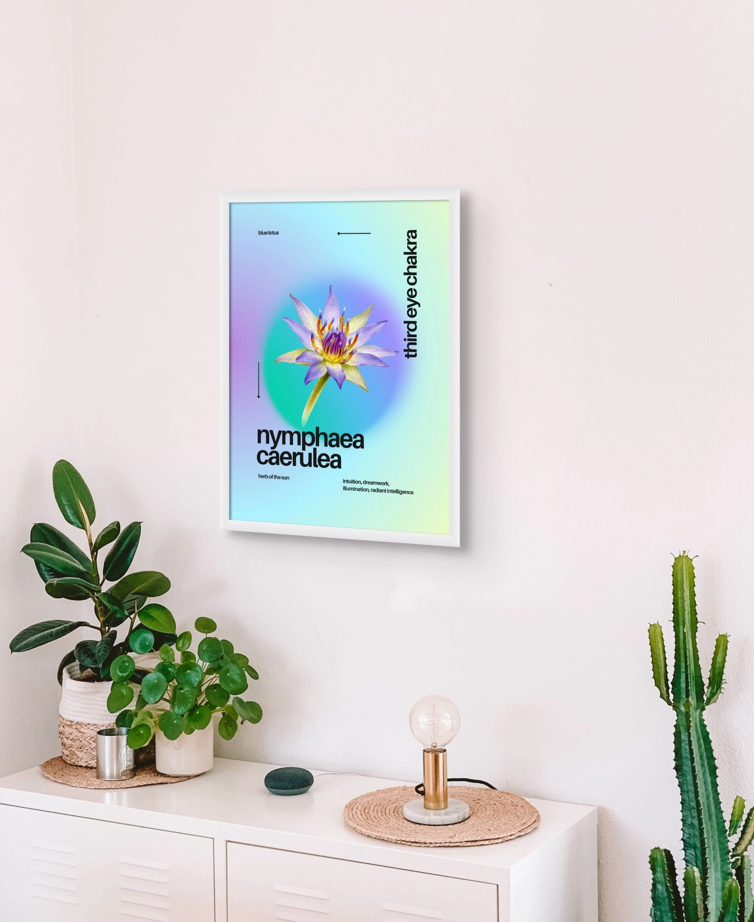 bluelotus_byzazaweissgerber (1).jpg