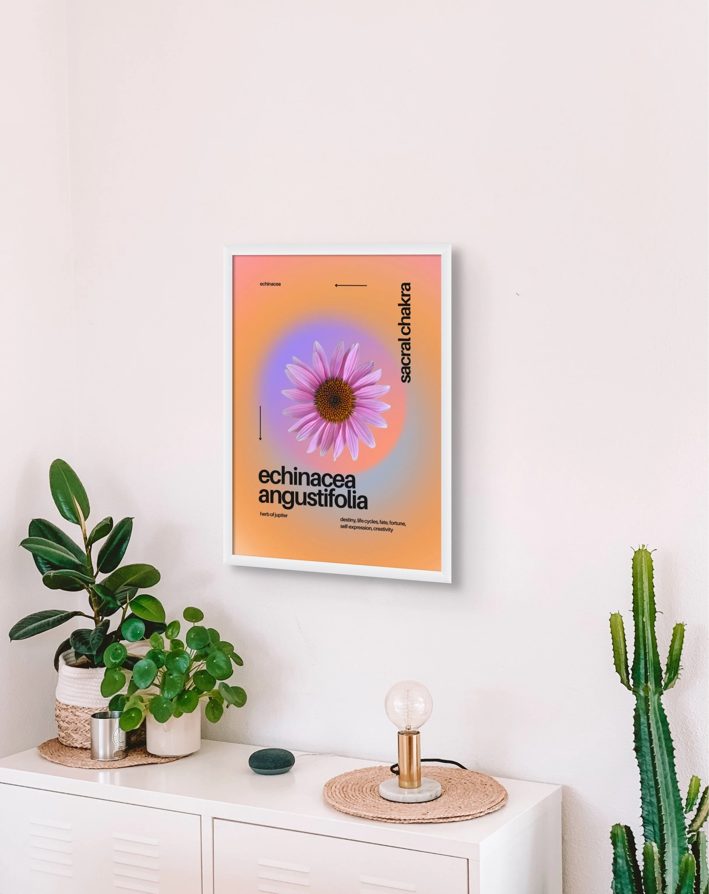 echinaceaprint_byzazaweissgerber3x4 copy.jpg