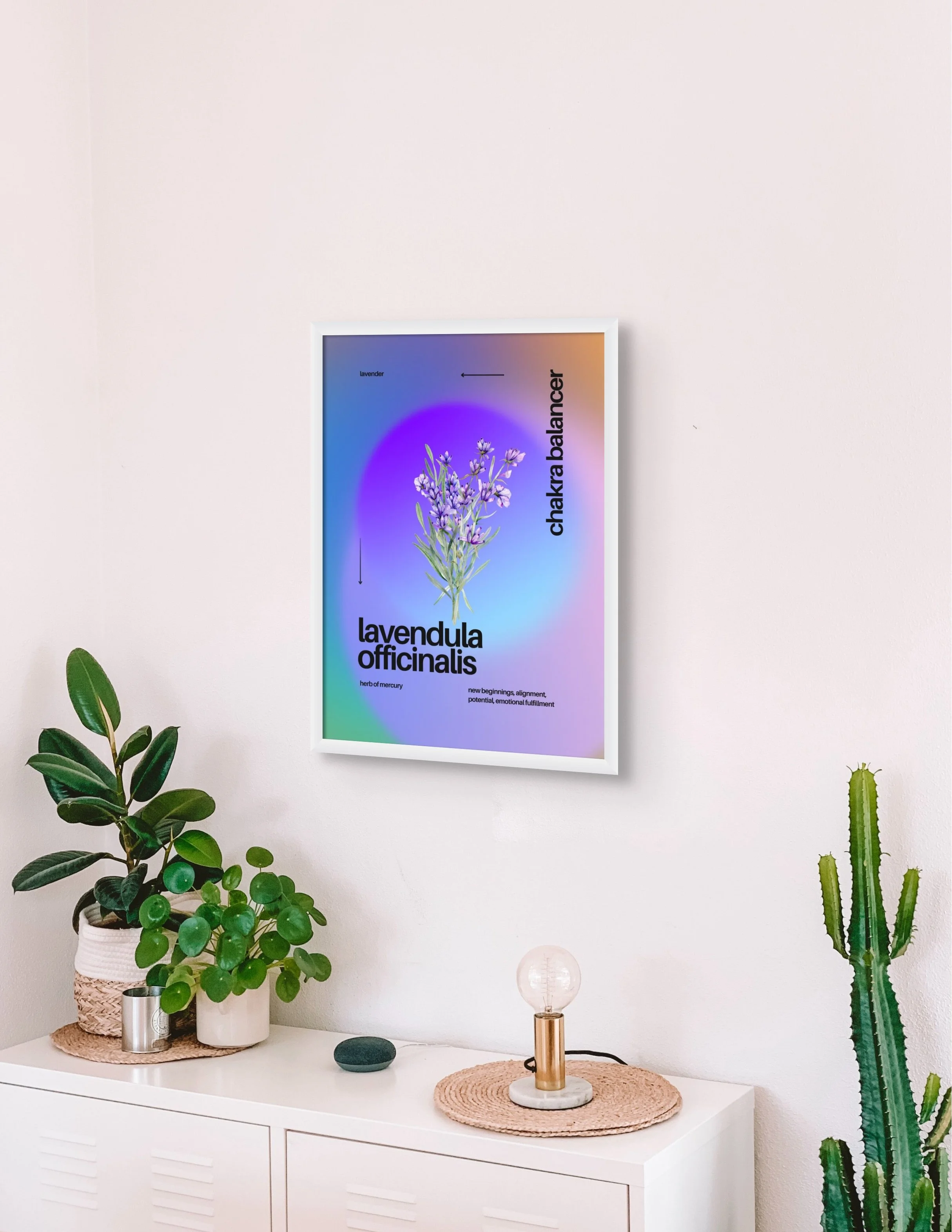 lavender_byzazaweissgerber3x4 copy.jpg