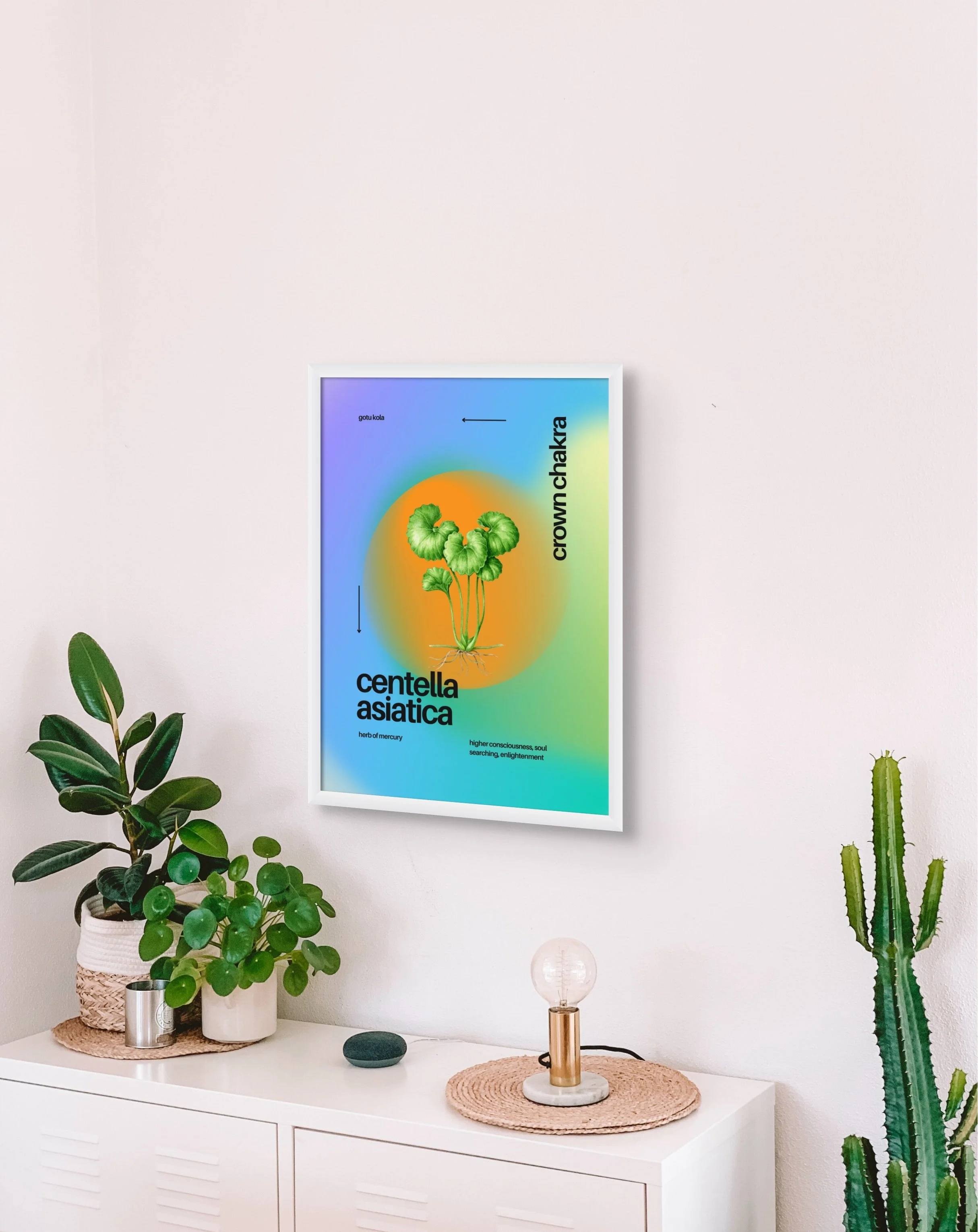 gotukolaprint_byzazaweissgerber3x4 copy.jpg