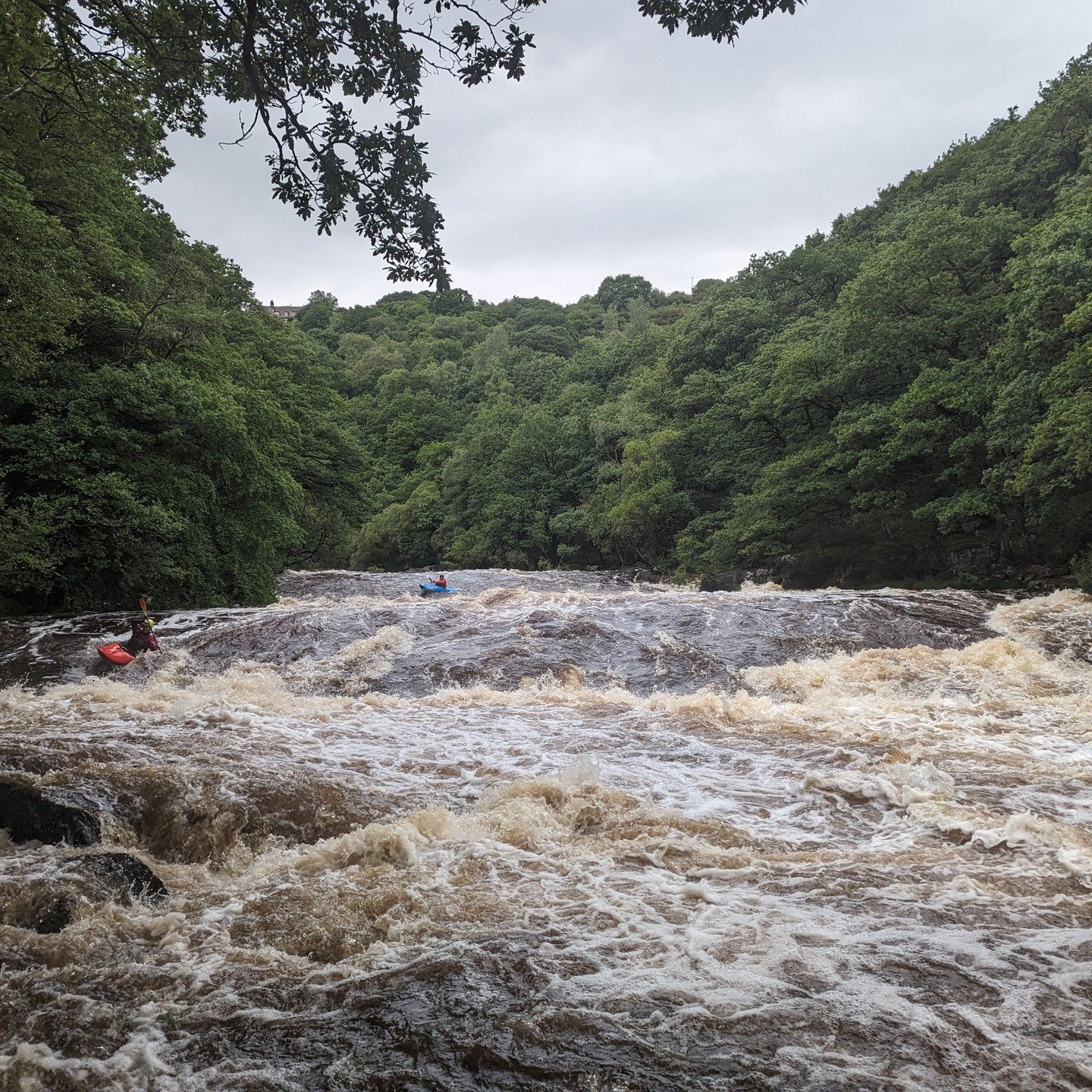 Jungle or Devon?! This is the Upper Dart gorge with its surrounding temperate rainforest.

Join River People for guided descents and in depth knowledge on the lines and features of this magical place.