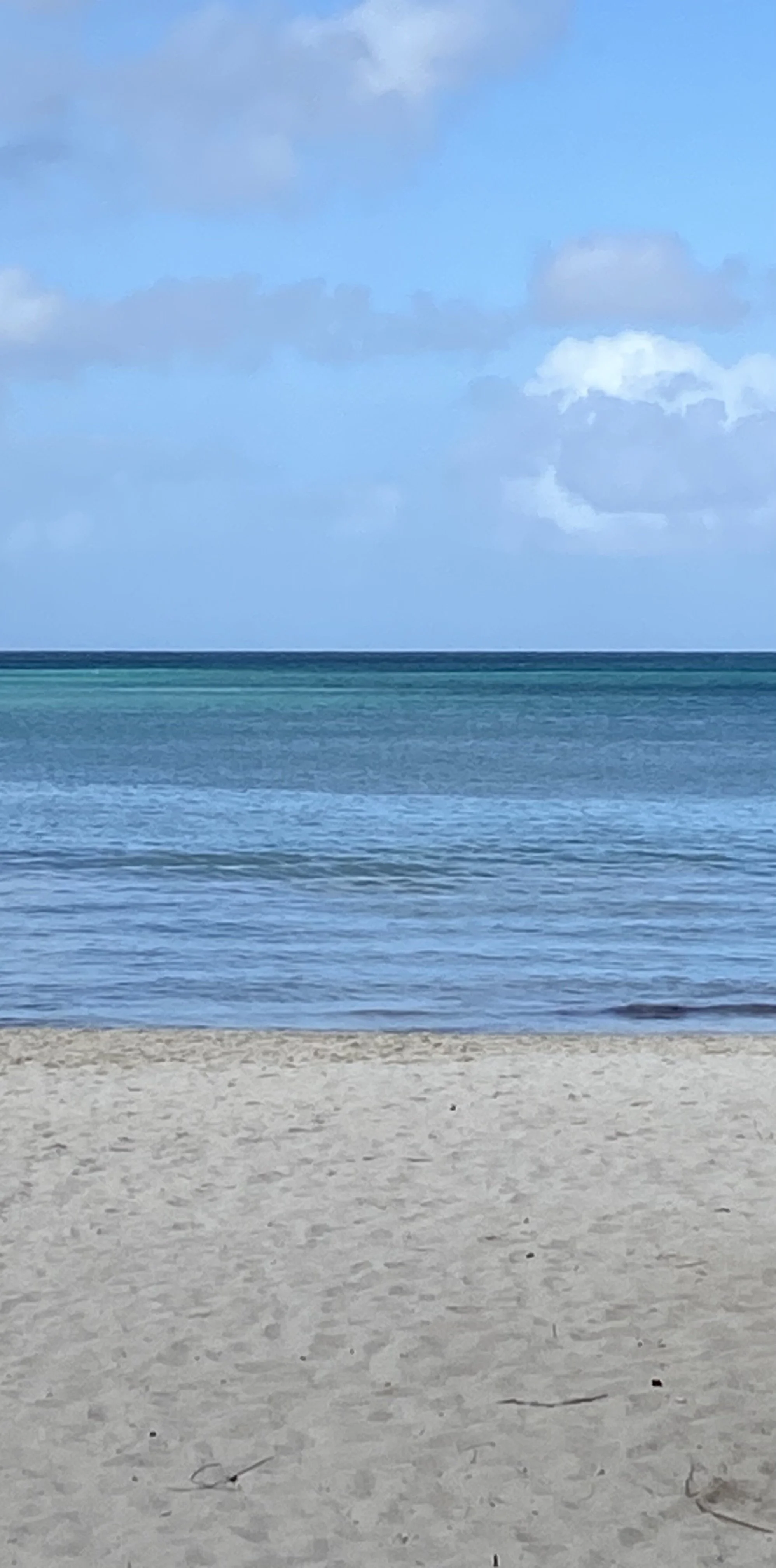 2025 Feminist Open Mic on 'Water'