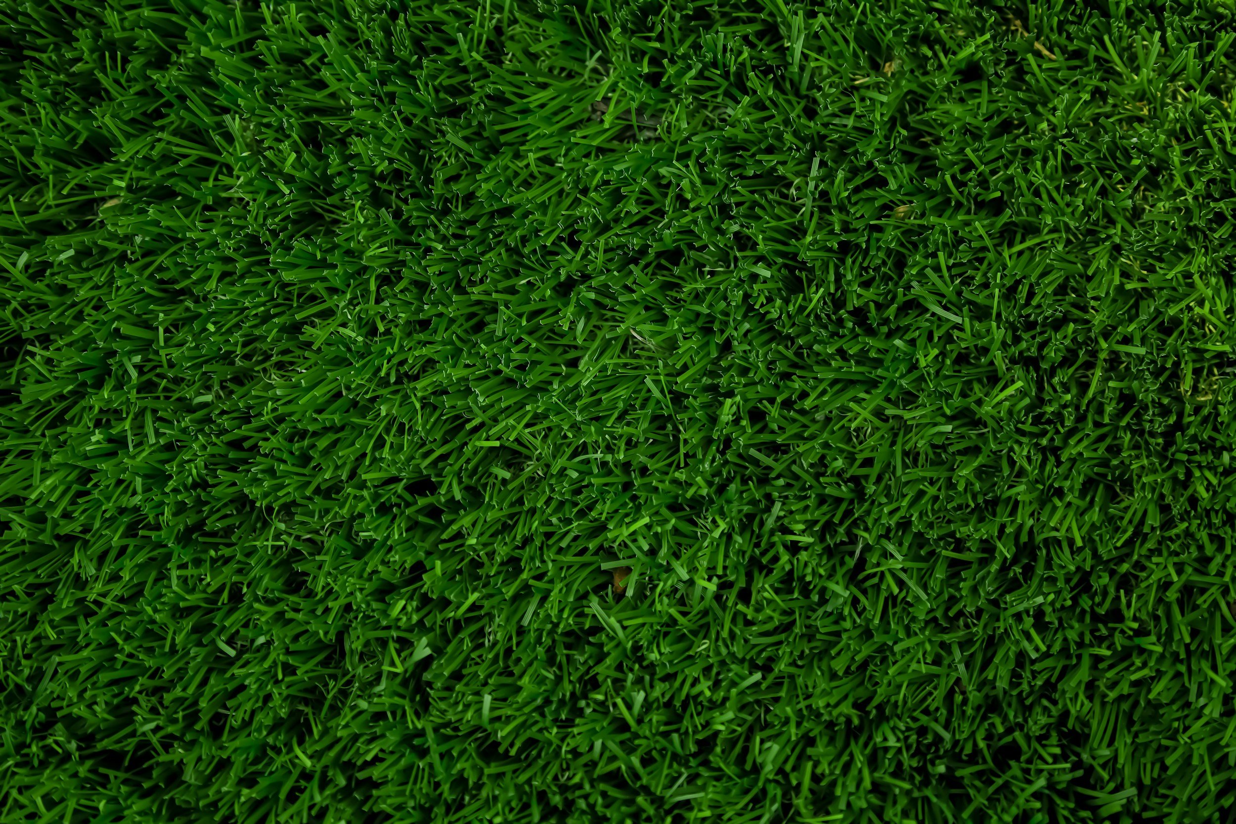 Close-up view of lush green artificial grass.