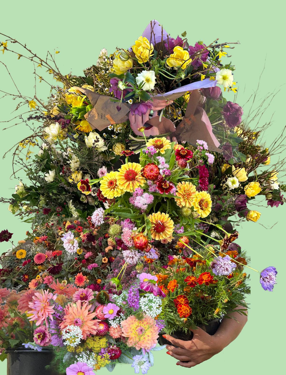 Bi-Weekly Flower Subscription  - Recurring Billing