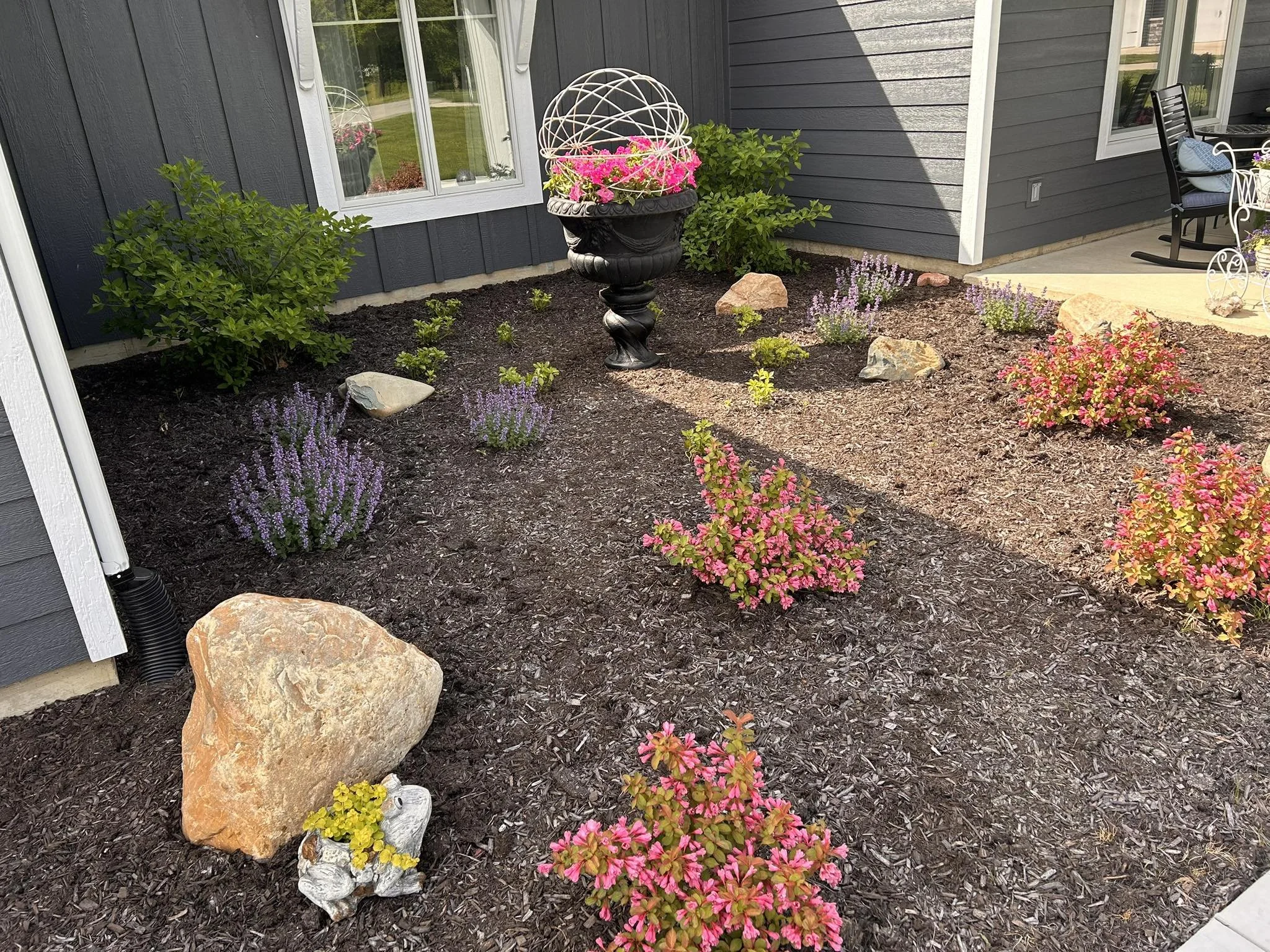 Landscape Gallery 5.jpg