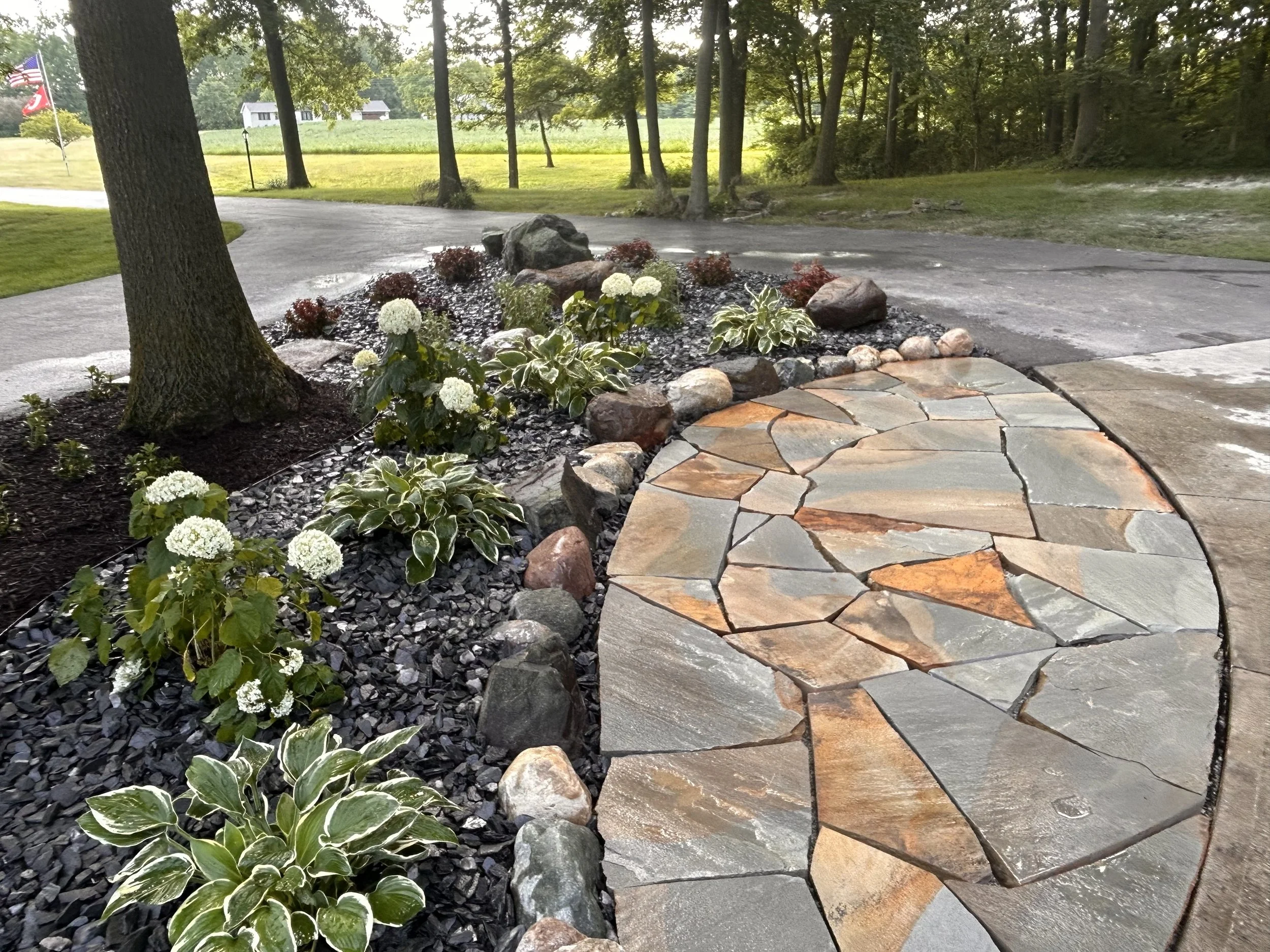 Landscape Gallery 3.jpg