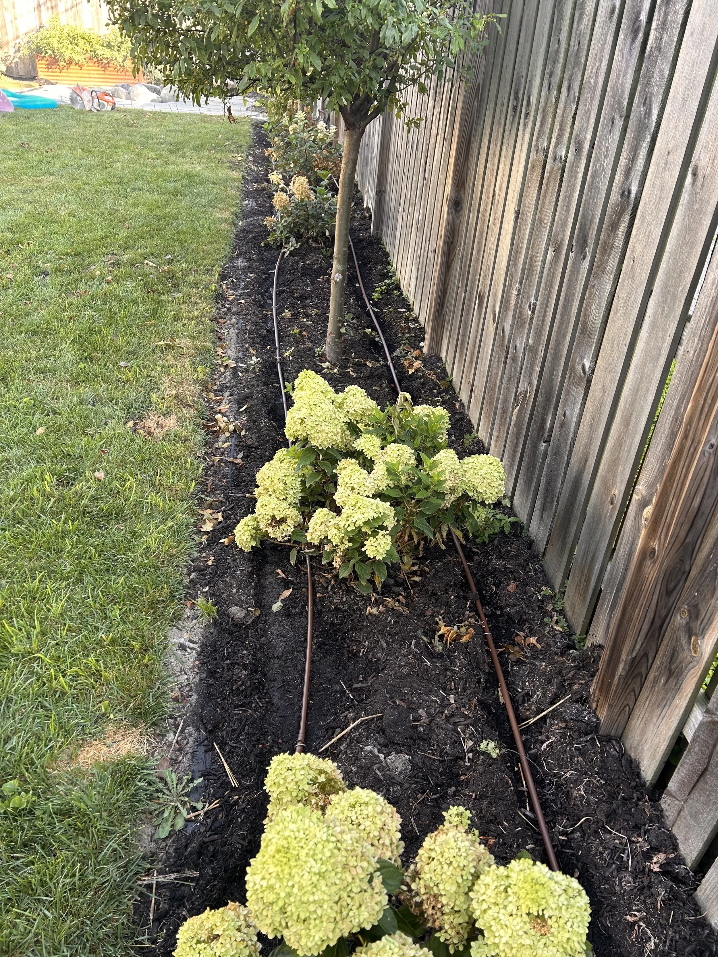 Landscape Gallery 2.jpg