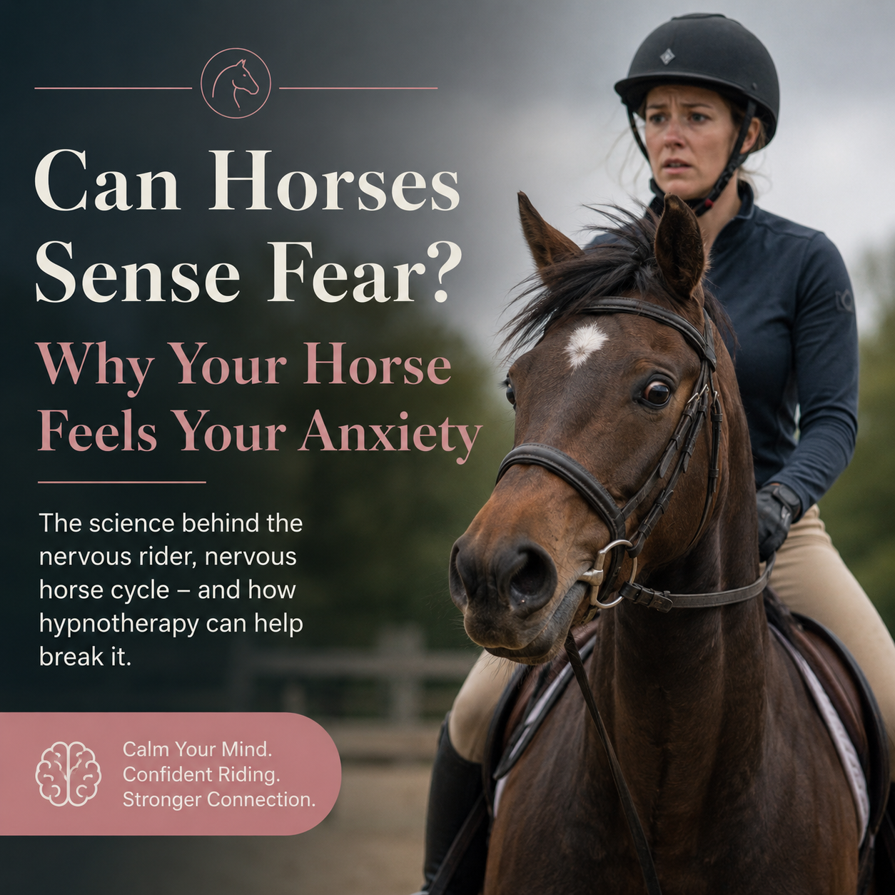 Why Your Horse Feels Your Anxiety