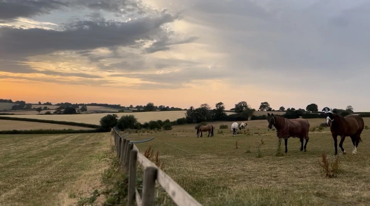Equestrian coaching for confidence