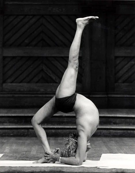 Yogistand_l5210_curves.jpg