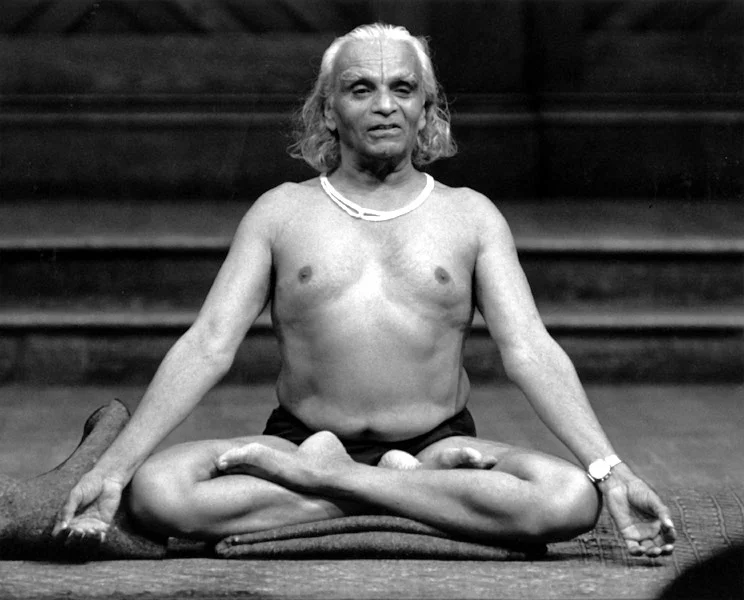 yogi03_lotus_d5206_curves.jpg
