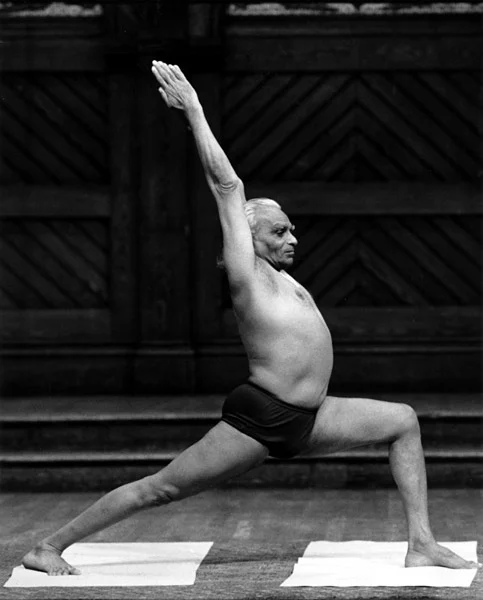 yogi02_l2882.jpg